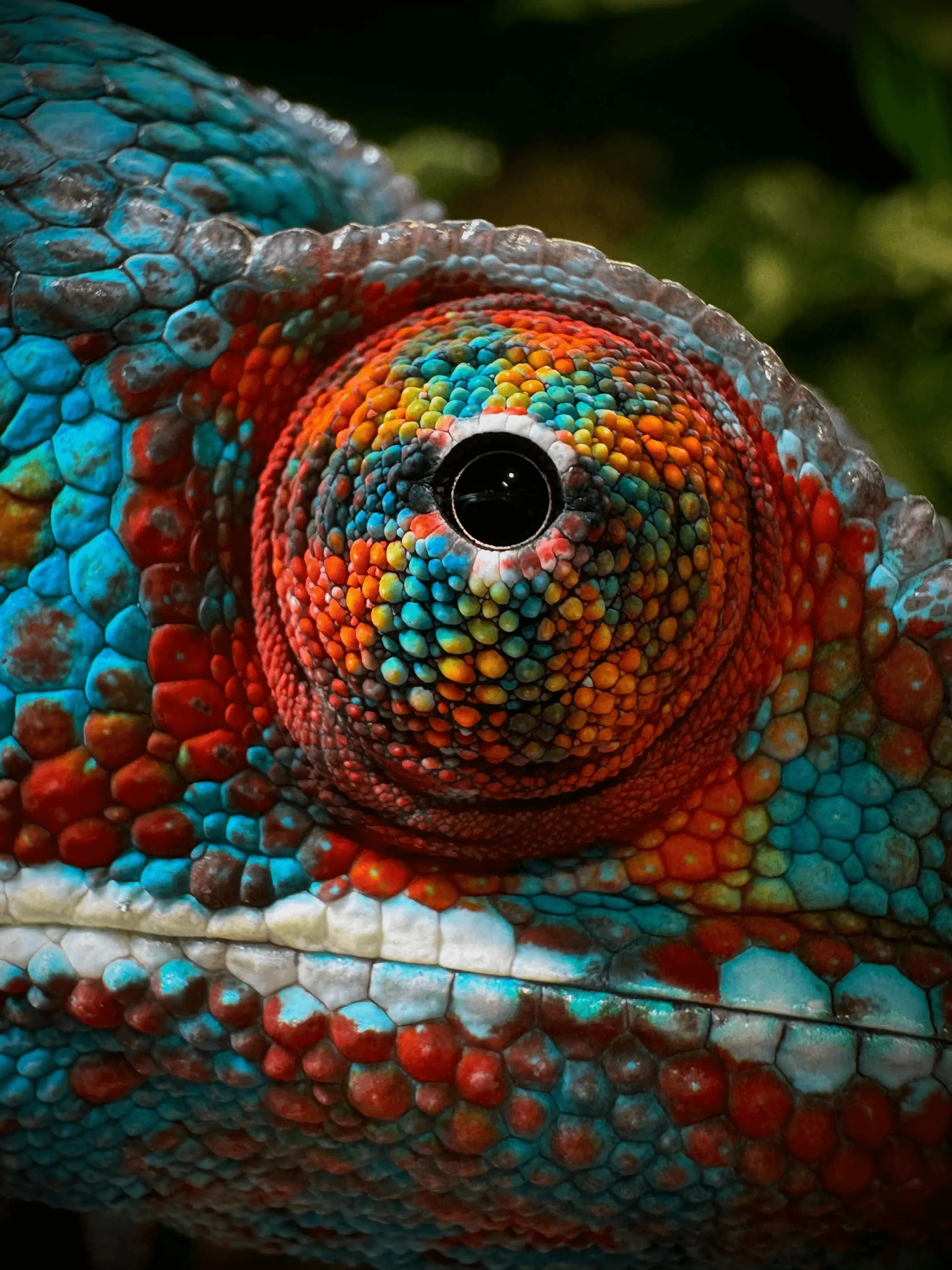 PHOTO-2025-09-09-20-57-43.webp