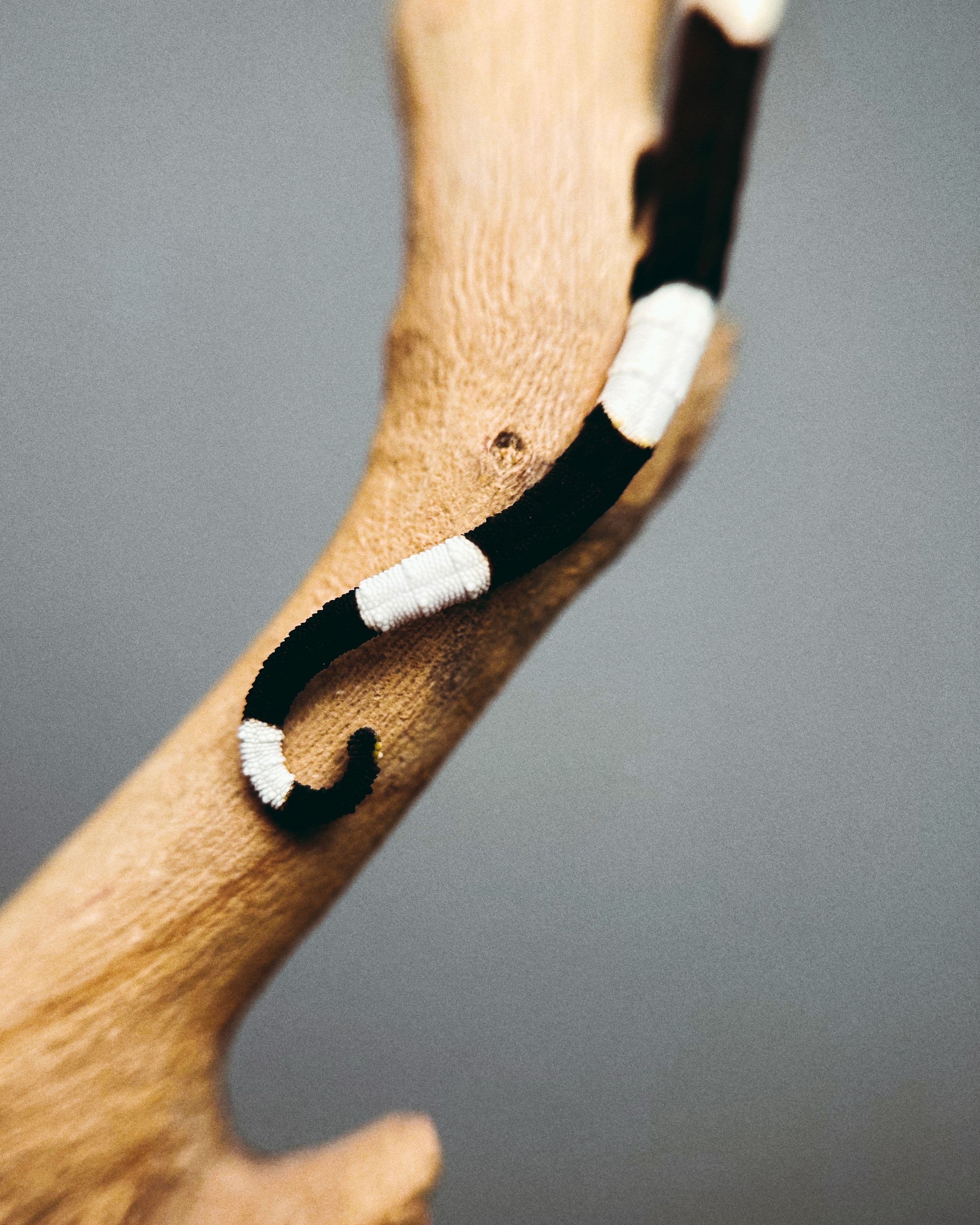 2 (1).jpg