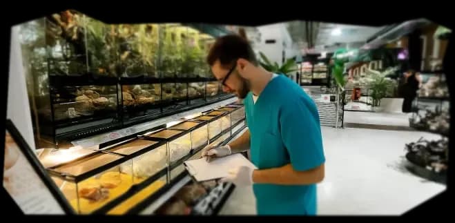 иллюстрация новости